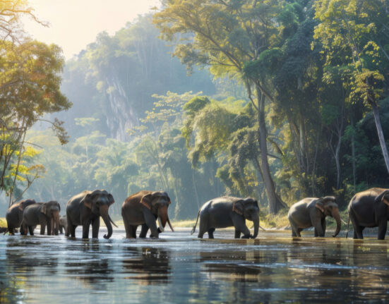 Uda Walawe National Park